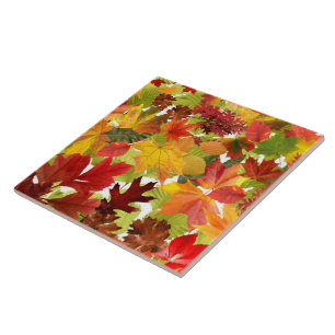 Autumn Fall Leaves Ceramic Tile