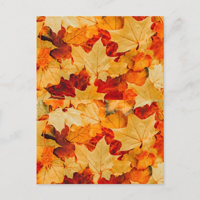 Autumn Fall Leaves Greeting Card (Front)