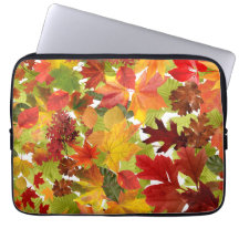 Autumn Fall Leaves