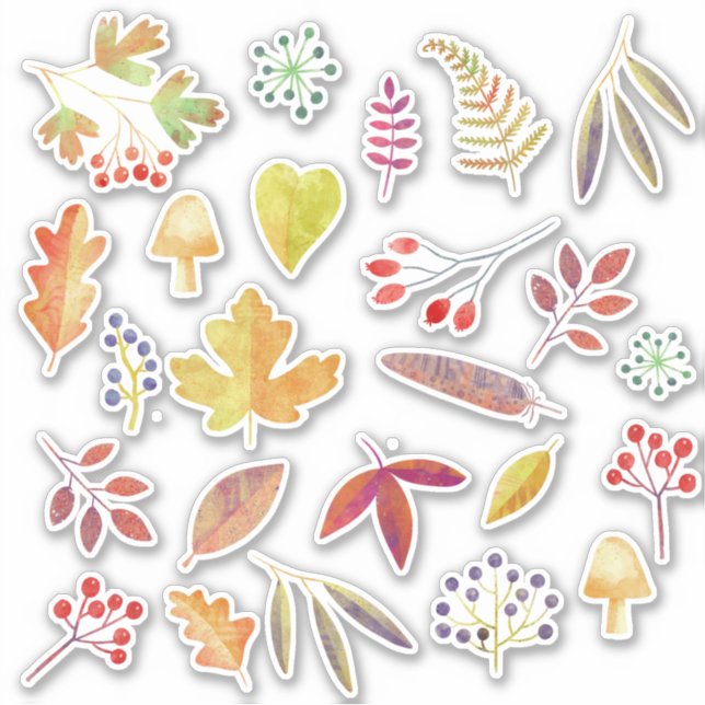 Autumn Fall Leaves Nature (Front)