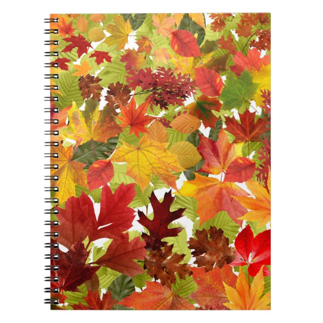 Autumn Fall Leaves Notebook (Front)