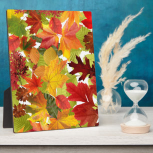 Autumn Fall Leaves Plaque