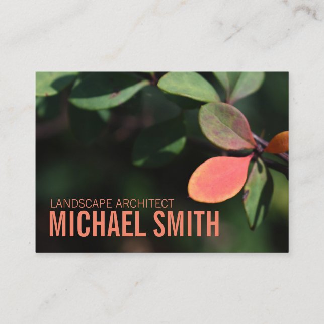 Autumn Fall Leaves Red Green Nature Foliage Photo Business Card (Front)
