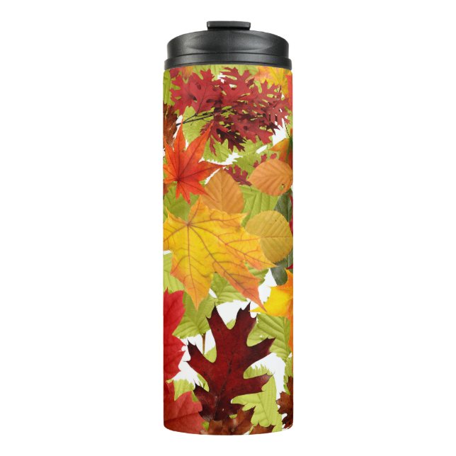 Autumn Fall Leaves Thermal Tumbler (Front)