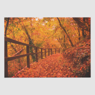 Autumn Fall Modern Gift Wrap Leaves Orange Tissue Paper