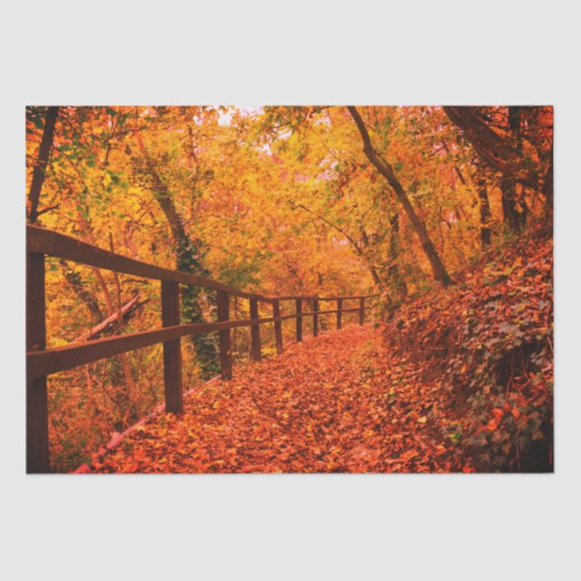 Autumn Fall Modern Gift Wrap Leaves Orange Tissue Paper (Front)