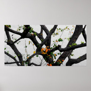 Autumn Fall Tree Branches Poster