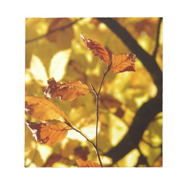 Autumn Fall Tree Leaves Seasons Destiny Nature Notepad (Front)