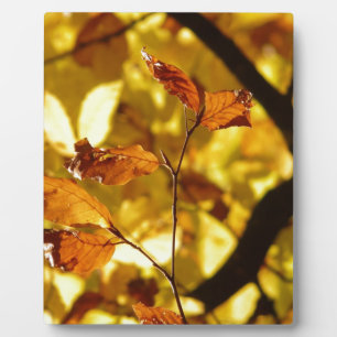Autumn Fall Tree Leaves Seasons Destiny Nature Plaque