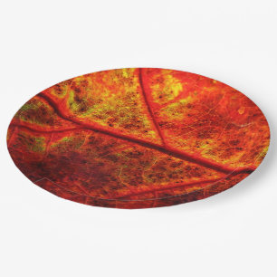 Autumn Fall Wedding Rustic Leaf Photo Close Up Paper Plate