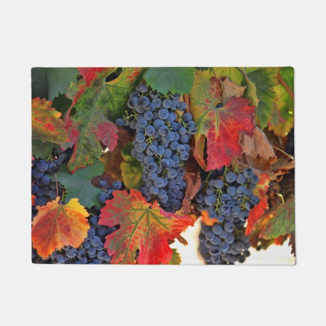 Autumn Fall Wine Vineyard Doormat (Front)