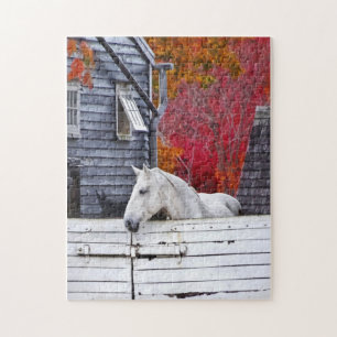 Autumn Farm With White Horse Jigsaw Puzzle