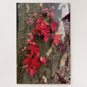 Autumn feelings, red leaves on a tree - difficult jigsaw puzzle