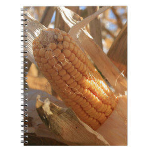 Autumn Field Corn on Stalk Notebook