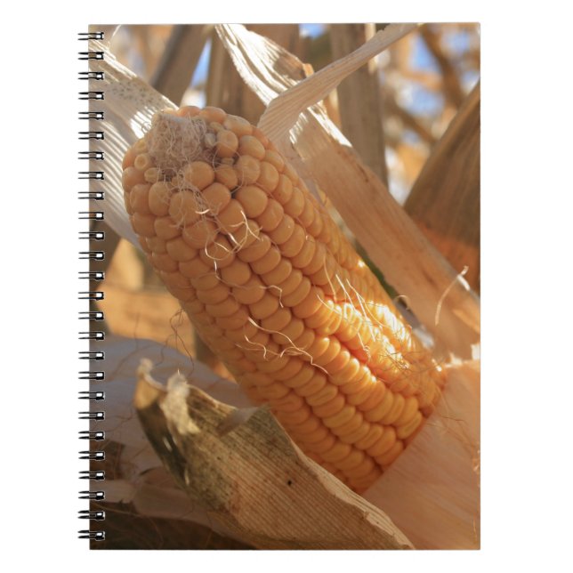 Autumn Field Corn on Stalk Notebook (Front)