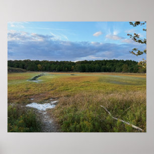 Autumn Field Photo Poster