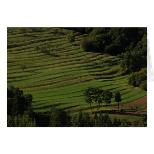 Autumn fields, Prem, Slovenia (Front Horizontal)