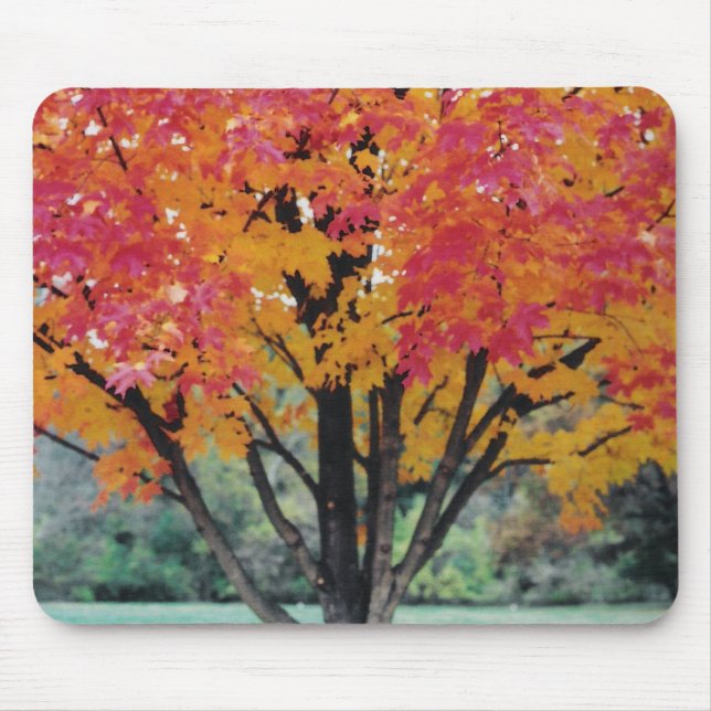Autumn Fire Mouse Pad (Front)