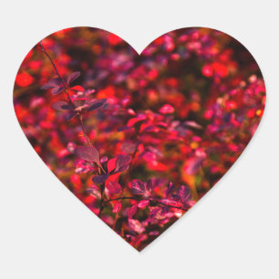 Autumn Flames Heart Sticker