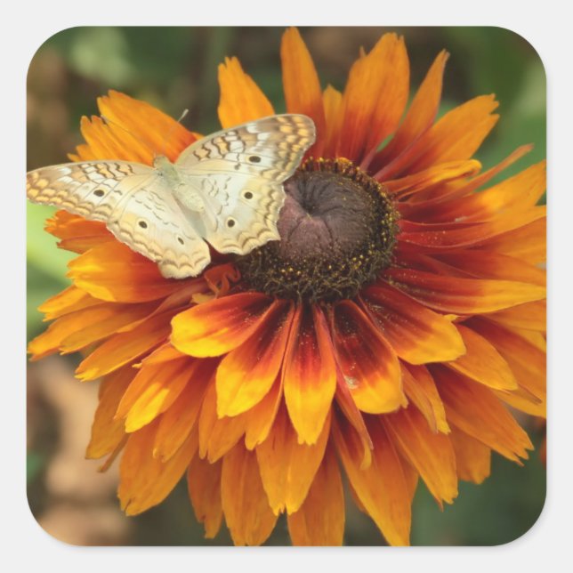 Autumn Flower Sticker (Front)