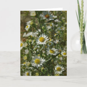 Autumn Flowers All Occasions  Card