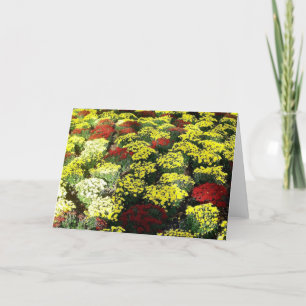 'Autumn Flowers' Blank Greeting Card