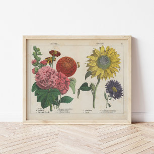Autumn Flowers   Charlotte Mary Yonge Poster