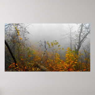 Autumn Fog in the Forest Poster
