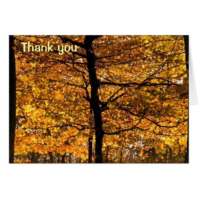 Autumn foliage (Front Horizontal)