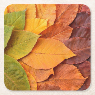 Autumn Foliage Coasters: Nature's Touch Square Paper Coaster
