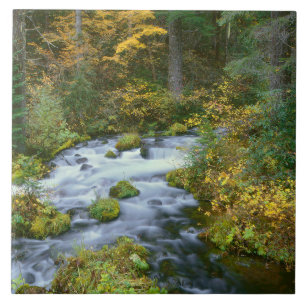 Autumn foliage & Douglas Fir Border Roaring River Ceramic Tile