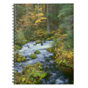 Autumn foliage & Douglas Fir Border Roaring River Notebook