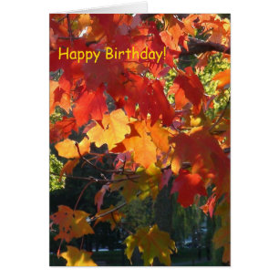 Autumn Foliage greeting card