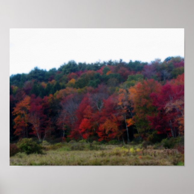 Autumn Foliage In Field Orton Art Nature  Poster (Front)
