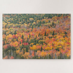 Autumn Foliage   Keweenaw Peninsula, Michigan Jigsaw Puzzle