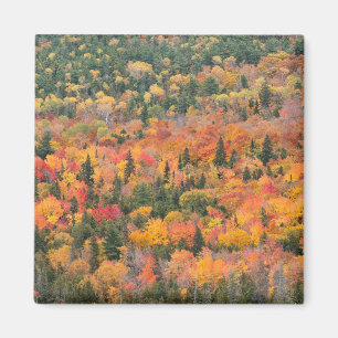 Autumn Foliage Keweenaw Peninsula, Michigan Magnet