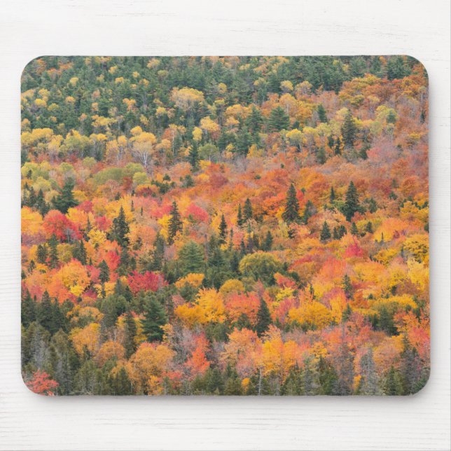 Autumn Foliage | Keweenaw Peninsula, Michigan Mouse Pad (Front)