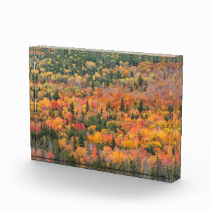 Autumn Foliage Keweenaw Peninsula, Michigan Photo Block