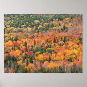 Autumn Foliage Keweenaw Peninsula, Michigan Poster