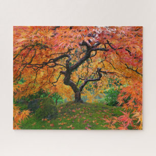Autumn Foliage on Portland Japanese Garden Maple Jigsaw Puzzle