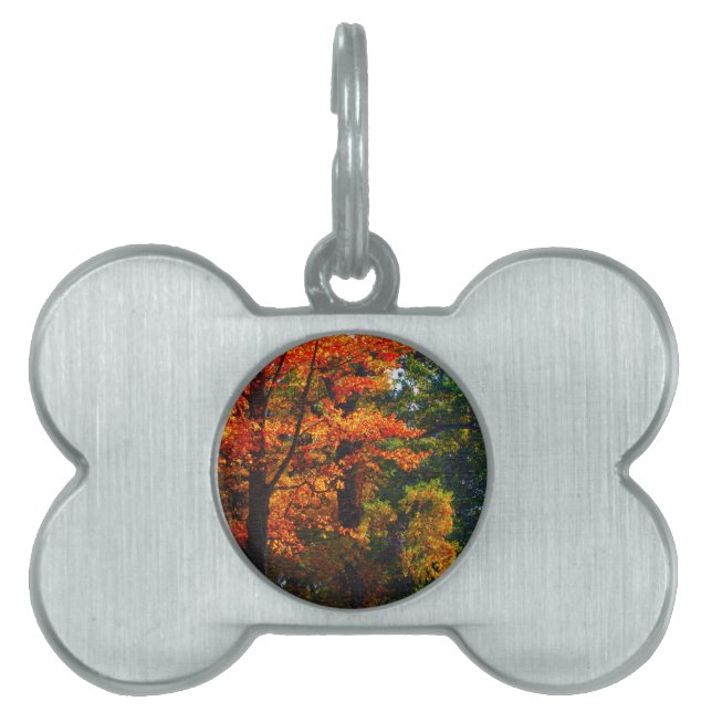 Autumn foliage pet ID tag (Front)