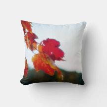 Autumn Foliage Pillow