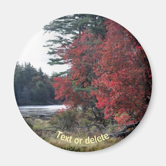 Autumn Foliage Pond Nature Photography  Magnet (Front)