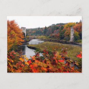 Autumn Foliage Postcard