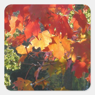 Autumn Foliage Square Sticker