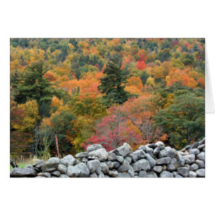 Autumn Foliage Stone Wall Photography Card