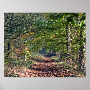 Autumn Footpath Poynton Cheshire Postcard Poster