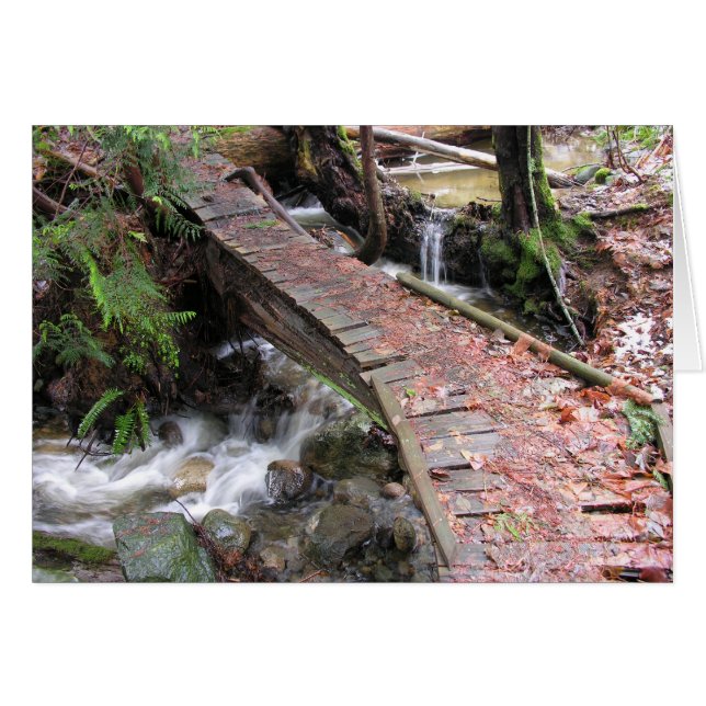 Autumn Forest (Front Horizontal)