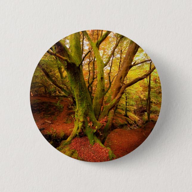 Autumn Forest 6 Cm Round Badge (Front)
