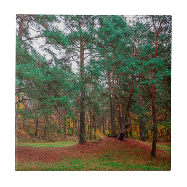 Autumn forest ceramic tile (Front)